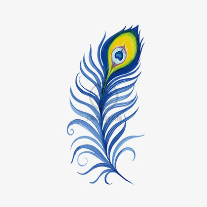 时尚孔雀蓝色羽毛防水腹部遮疤纹身贴一张一贴