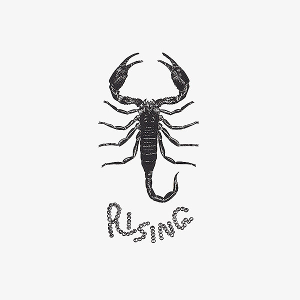 黑暗系黑色蝎子天蝎座个性社会人男女纹身贴