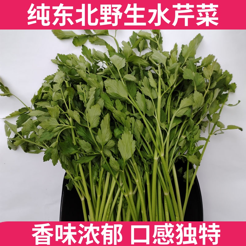 东北野菜新鲜玻璃叶饼