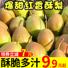 山西香梨新鲜10斤红香酥梨当季水果梨子包邮雪梨整箱应季时令特产