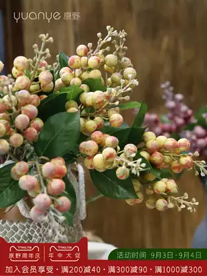 Simulation fruit diamond fruit hanging skewer fake flower decoration living room table decoration natural wind TV cabinet decoration dry flower