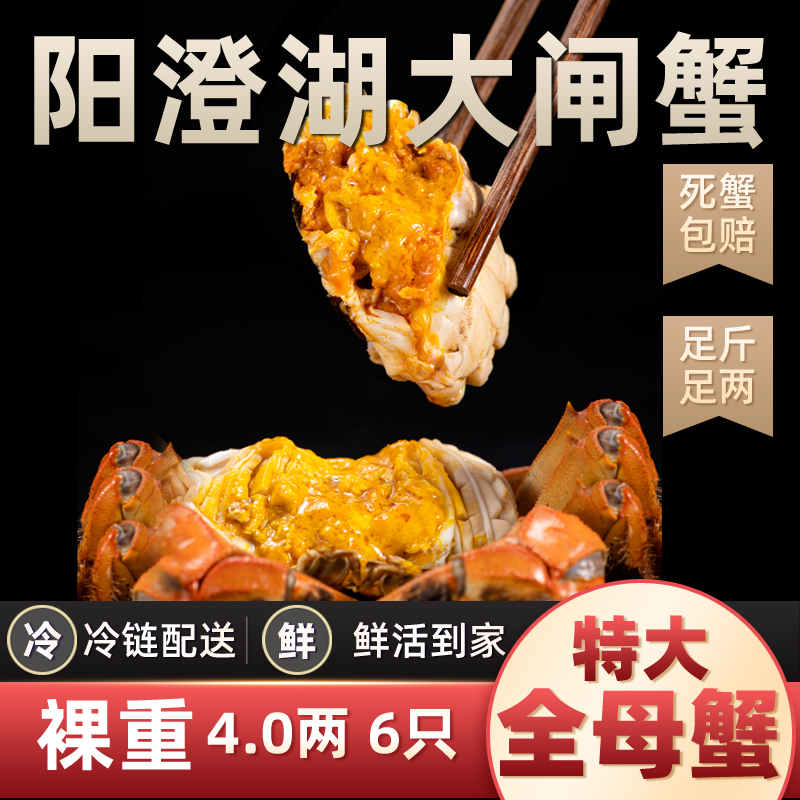 大闸蟹6只裸重鲜活4两阳澄湖
