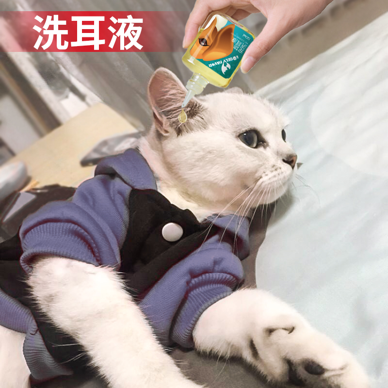 è¶úòý