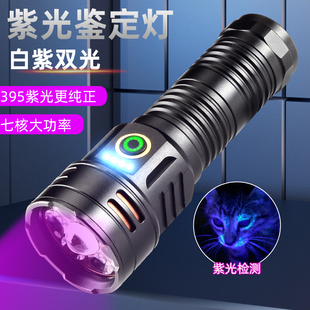 伍德氏双光源大功率紫光灯395nm鉴定专用UV胶水固化荧光防伪美甲
