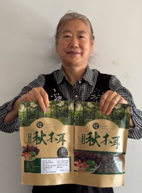 小碗耳东北特产小兴安岭伊春木耳我母亲代言500g木耳干货精品