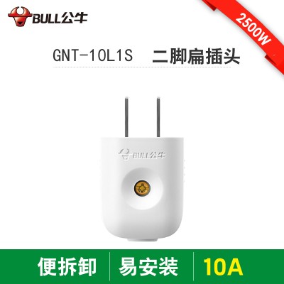 公牛10A插头电线二头两脚接线两孔两角项电源2脚二脚二极GNT10L1S