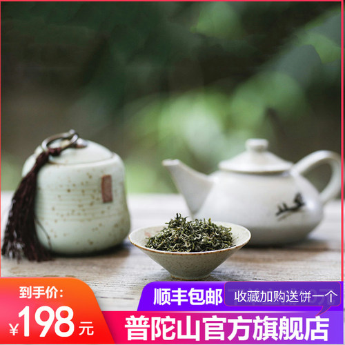 2026明前茶叶浙江普陀山特产普陀佛茶绿茶鲜爽味40g 顺丰包邮