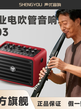 声优D03升级版电吹管音箱
