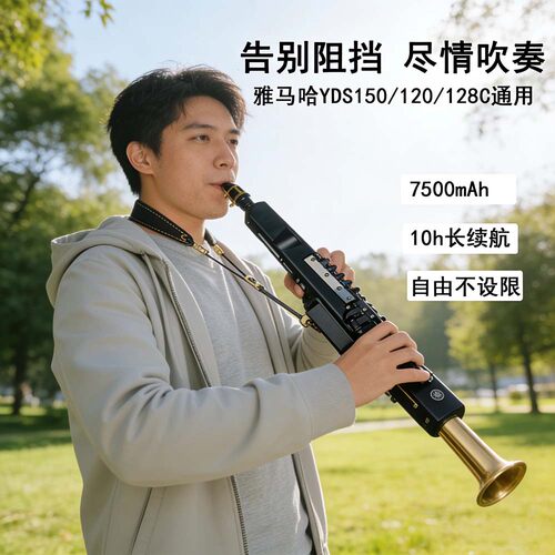 雅马哈电吹管通用嵌入式电池