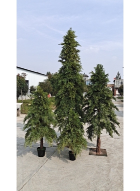 仿真植物柏树绿植盆栽白树圣诞树园林工程装饰塔型松柏树厂家