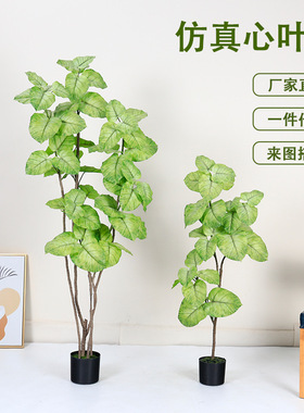 心叶榕假树盆栽 高端仿真绿植 室内客厅落地装饰摆件仿生植物造景