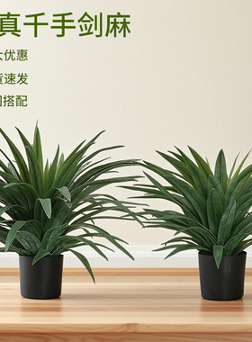 千手剑麻仿真绿植龙舌兰盆栽北欧家居装饰摆件酒店橱窗造景假植物
