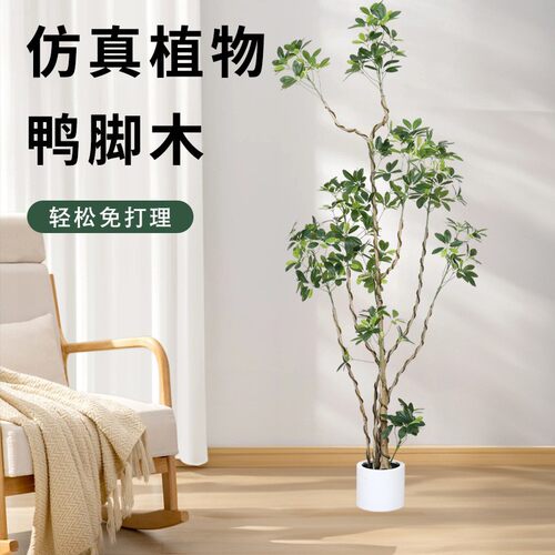 轻奢高级感仿真鸭脚木绿植室内客厅酒店门面装饰摆件盆景假植物