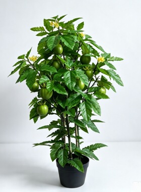 仿真西红柿假农作物单支果蔬家居装饰绿植摆件番茄果工程造景工厂