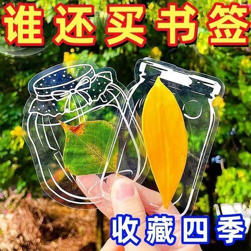 干花书签手工diy材料透明标本瓶子里的春秋自制压花植物花卉学生