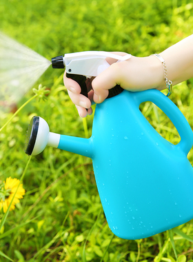 浇水喷水壶洒水壶浇花器家用大号浇水器小型喷洒浇两用气压式喷雾
