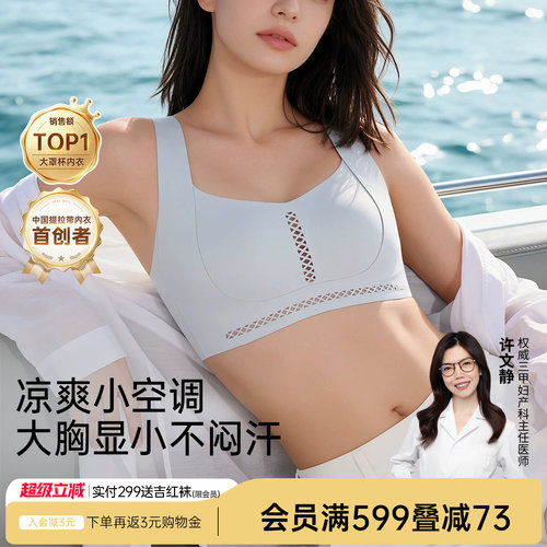 润微提拉大胸显小镂空透气内衣