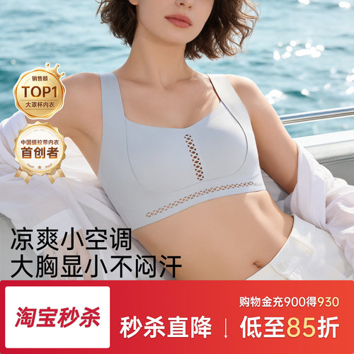 润微提拉大胸显小镂空透气内衣