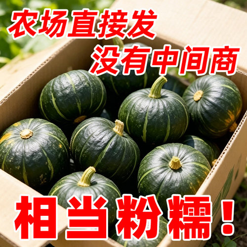 贝贝南瓜板栗味粉糯新鲜辅食
