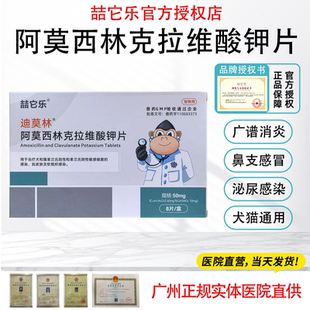 阿莫西林克拉维酸钾宠物感冒膀胱炎猫狗通用猫消炎口服消炎药片