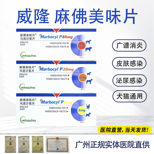 麻佛美味片宠莱富消炎药马波沙星