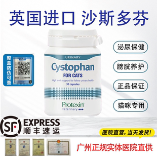 英国进口沙斯多芬猫咪尿血尿频尿路感染结晶结石膀胱炎尿闭泌尿