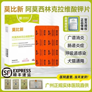 250 汉维宠仕莫比新阿莫西林消炎猫感冒狗咳嗽宠物药50 500mg