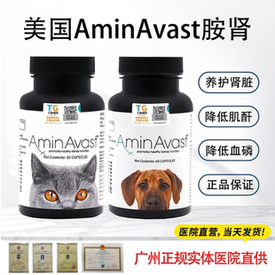 美国AminAvast肾衰停猫狗胺肾透急慢性肾衰竭肝损伤降磷肌酐病康