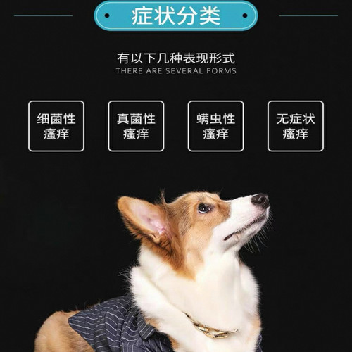 止痒皮肤病瘙痒止痒口服药