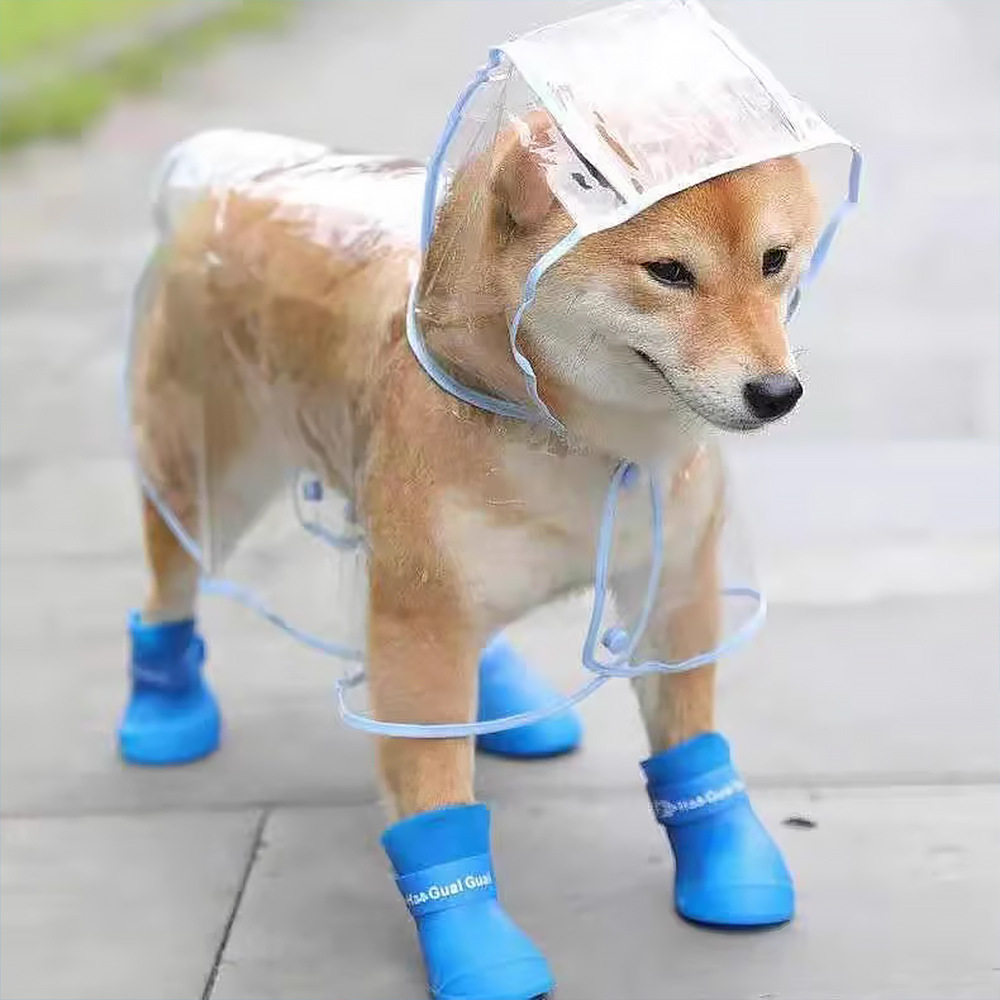 透明宠物雨衣外出防水雨衣狗衣服小型犬泰迪博美狗狗服装连帽雨衣