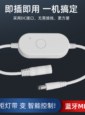 拓迪智能控制器|懒人好物|已接入米家|无线遥控定时LED调光开关