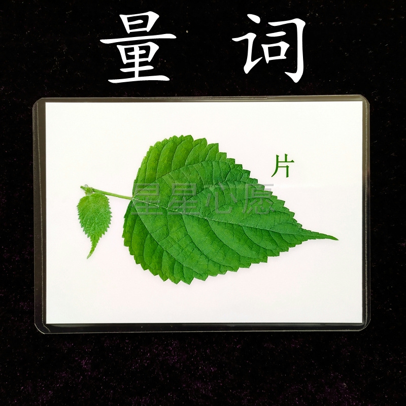 自闭症孤独症量词认知训练卡片