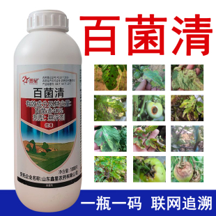 百菌清白霜粉霉病多黑菌斑灵病早疫病果植树物花多卉肉农药杀菌剂