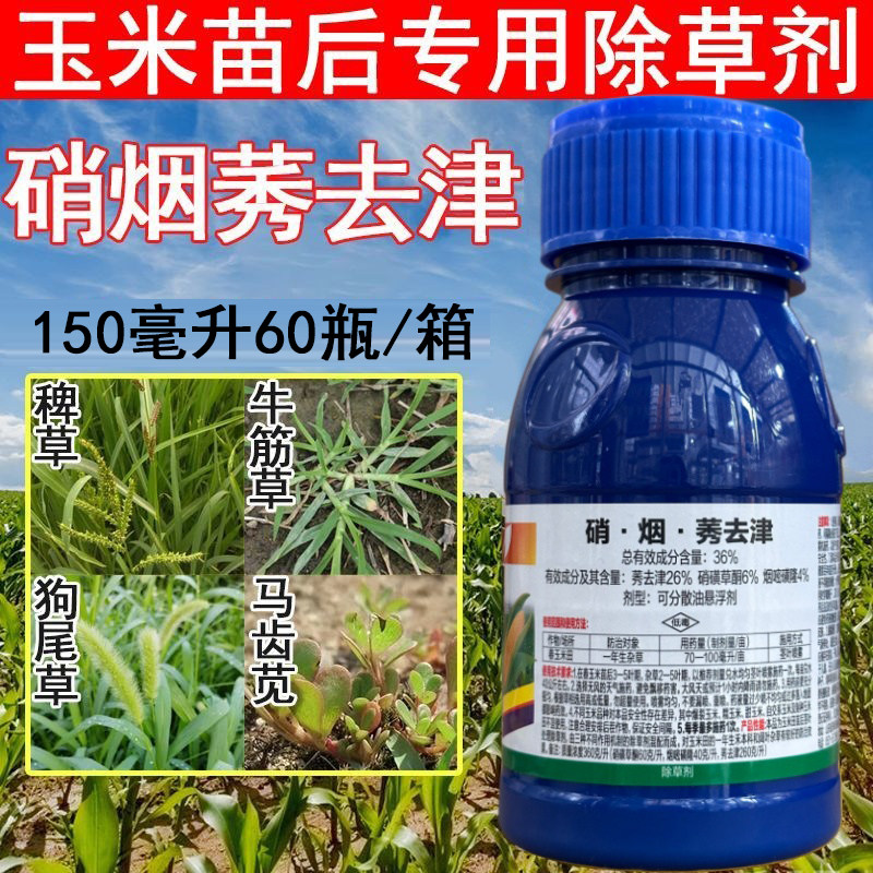 硝磺草酮烟嘧磺隆莠去津牛筋草稗草36%硝烟莠去津玉米苗后除草剂
