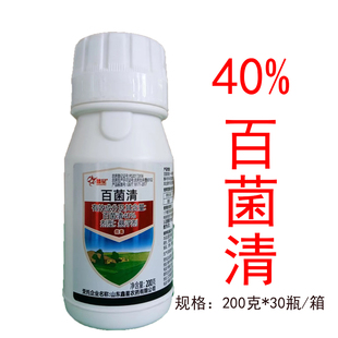 山东鑫星 40%百菌清悬浮剂农药杀菌剂番茄早疫病杀菌剂农药200g