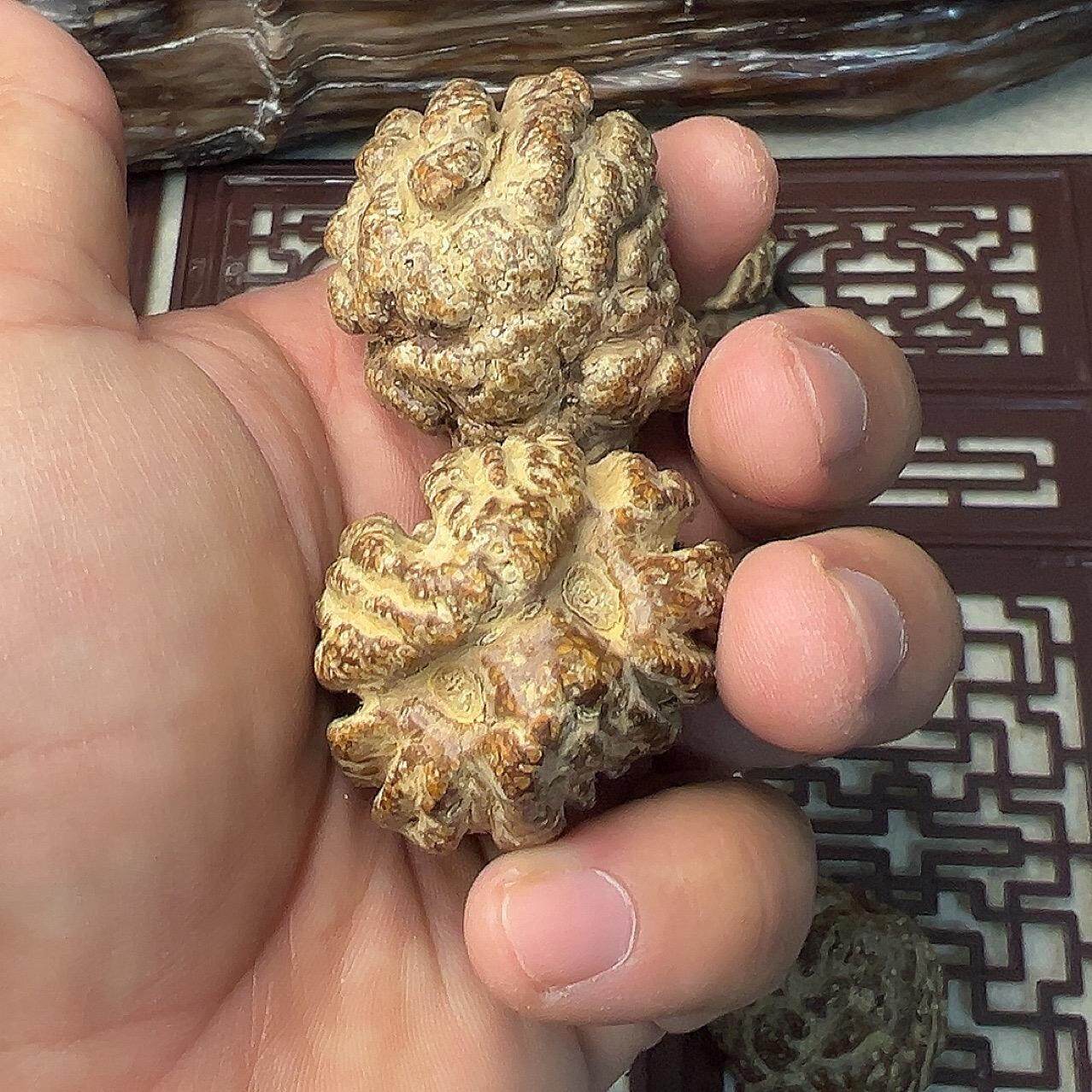 印尼猫头鹰菩提子冷门文玩手把件DIY配饰手珠个性天然植物配件