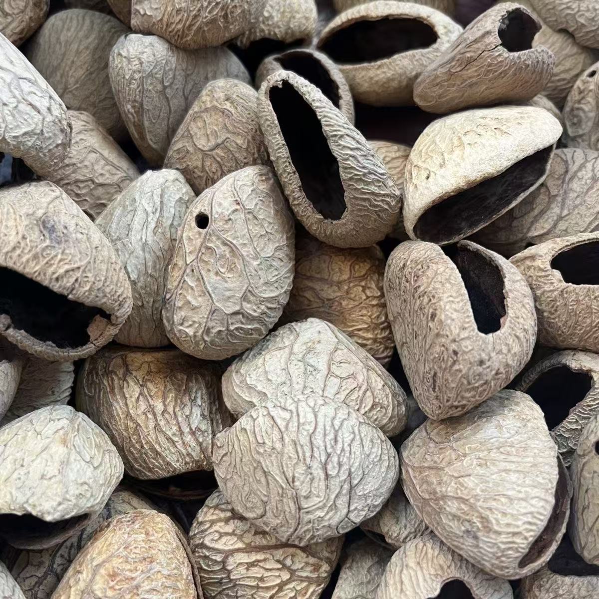 印尼黑果壳手工编织diy风铃材料自制作排铃音束手摇铃创意装饰品