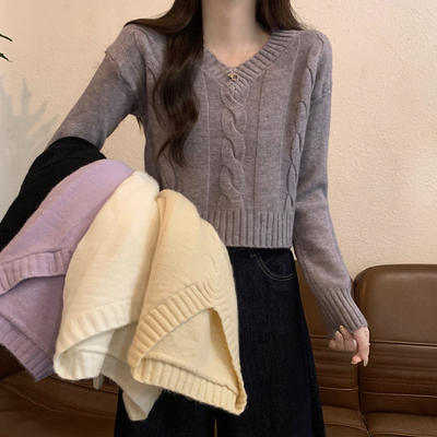 秋冬v领长袖打底针织衫上衣可外穿宽松短款小个子麻花毛衣女内搭