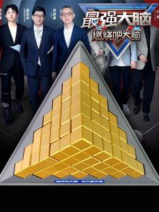 燃烧吧强大智脑积木金字塔9益智玩7男孩10力6岁以上动脑8礼物