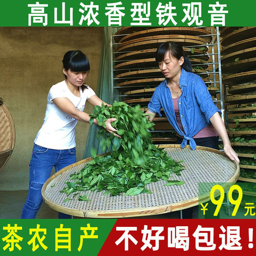 安溪铁观音春茶特级浓香型铁观音茶叶正品浓香铁观音新茶500g包邮