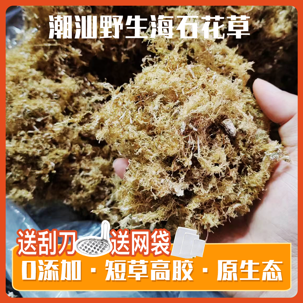 潮汕海石花高胶短草洋菜膏岩衣胶冻四果汤原料石花膏海凉粉50克 粮油调味/速食/干货/烘焙 特色干货及养生干料 原图主图