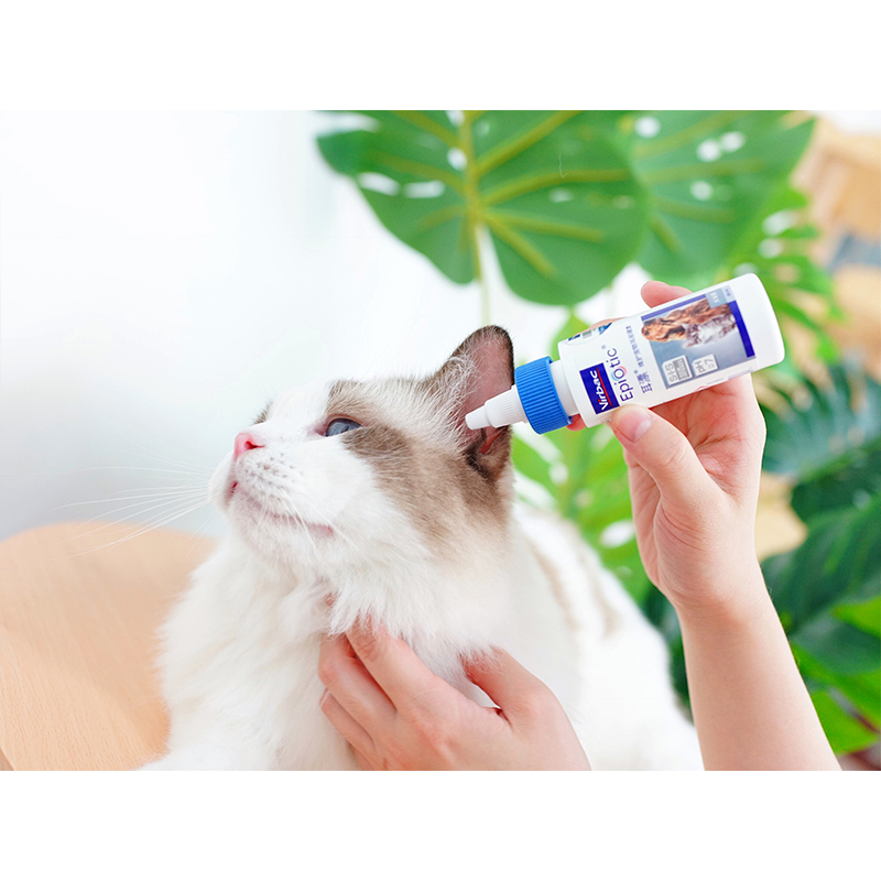 法国维克宠物猫狗