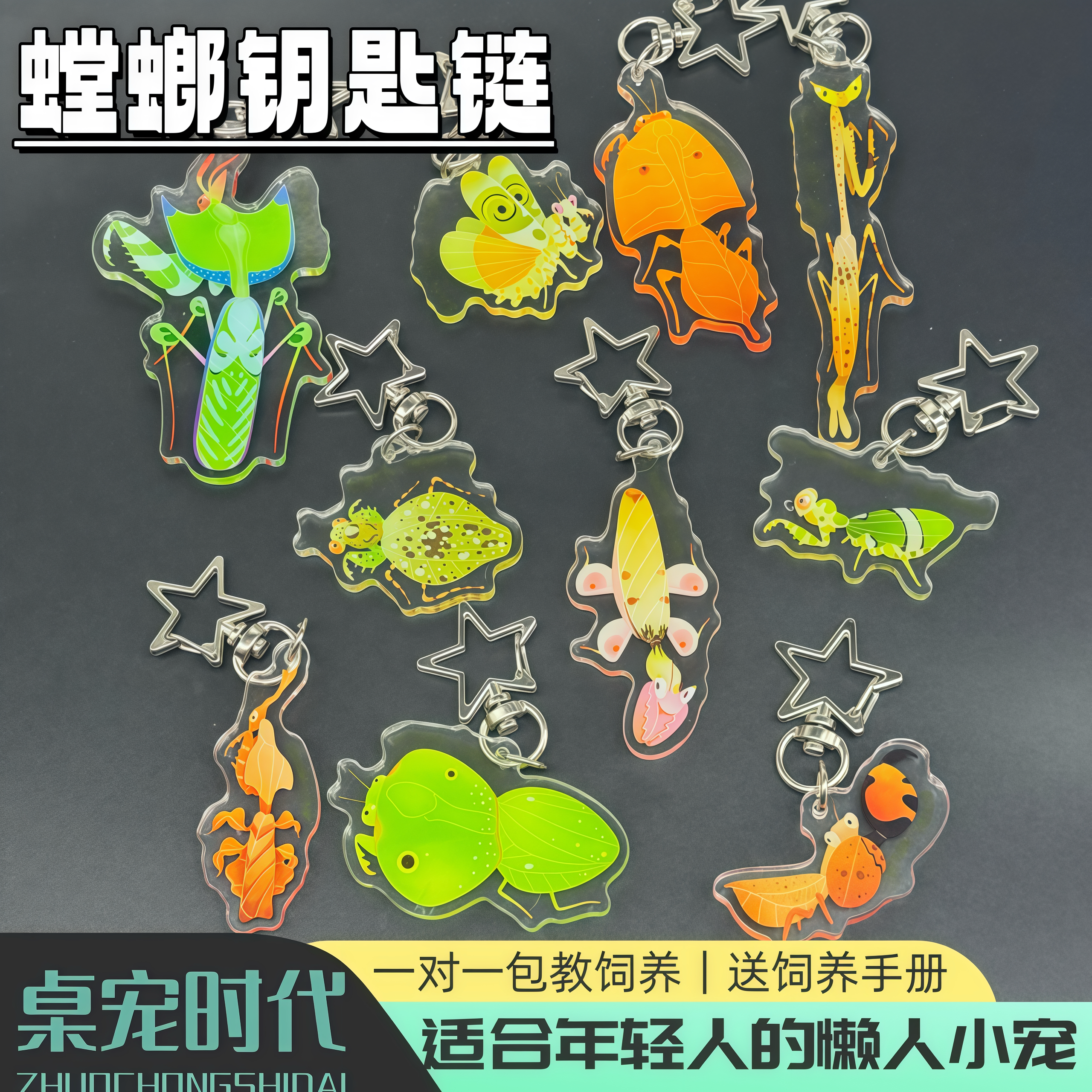 螳螂钥匙扣亚克力挂件兰花螳螂大魔花螳螂枯叶螳螂幽灵桌宠时代