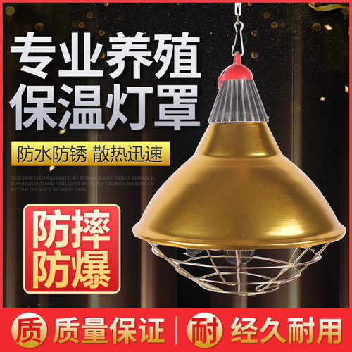 养殖保温灯罩猪用保温灯养殖专用