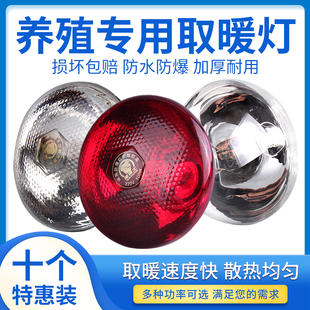 猪用保温灯养殖场专用育雏兽用灯泡仔猪小鸡加热烤灯养殖取暖灯泡