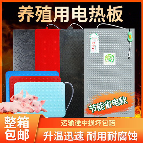 仔猪电热板猪用保温板恒温加热