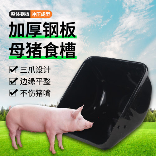 喂猪钢板加厚不锈钢耐尔尼母猪