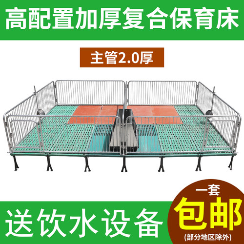 仔猪保育床小猪保育床 猪用保育床保育栏母猪产床定位栏养猪设备