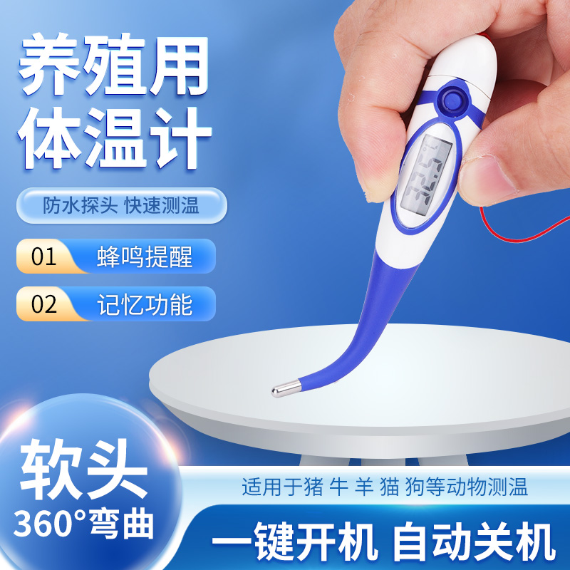 兽用电子体温计牛羊高精度温度计