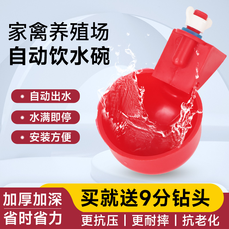 鸡用饮水碗家禽养殖自动饮水器